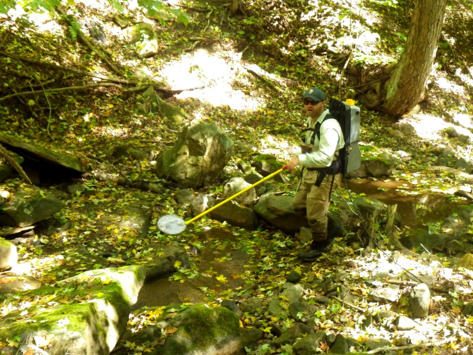 Electrofishing ALPO