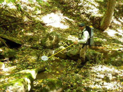 Electrofishing ALPO