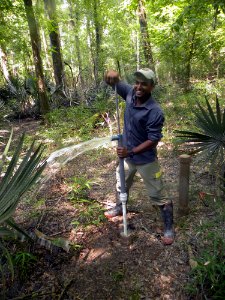 Binal Rana, 2014, Mosaics in Science Program participant doing groundwater well maintenance at Congaree National Park, South Carolina.. (NPS photo)