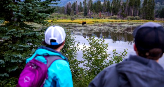 Visitors enjoying Rocky Mountain National Park