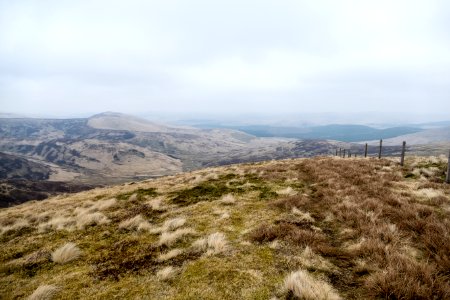 Cold Moss towards Comb Head