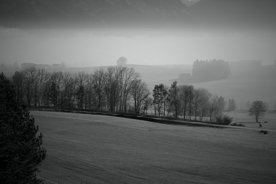 Haze nature autumn