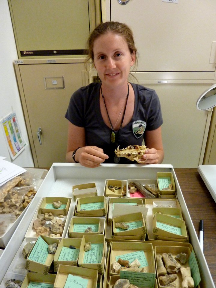 Cataloging