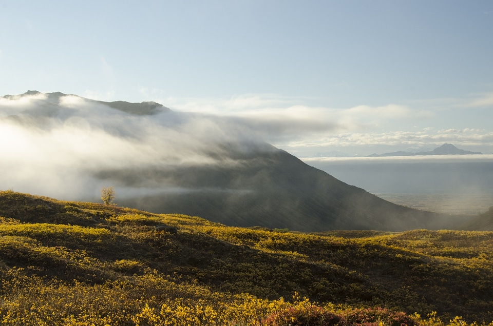Scenic morning sunlight
