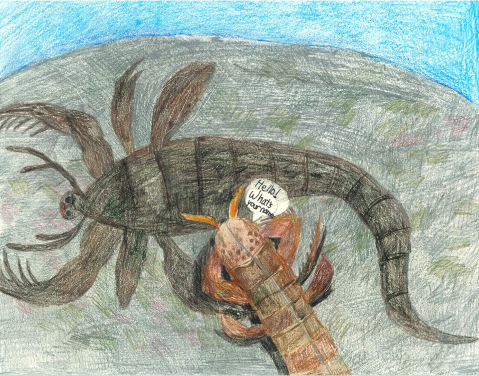 (2013) 5-8 Year Old Category