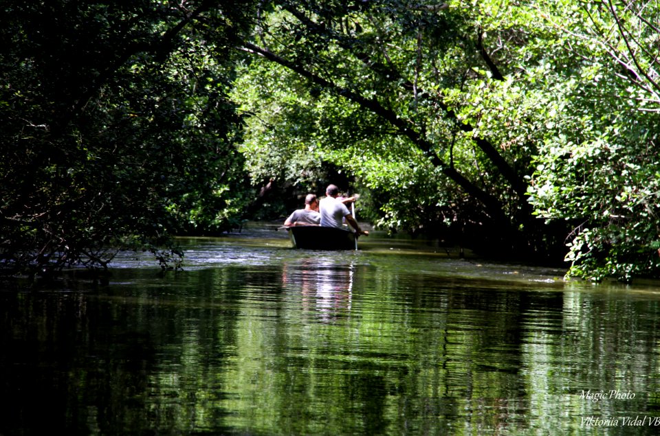 Balade aquatique,Le Courant d'Huchet dans les Landes