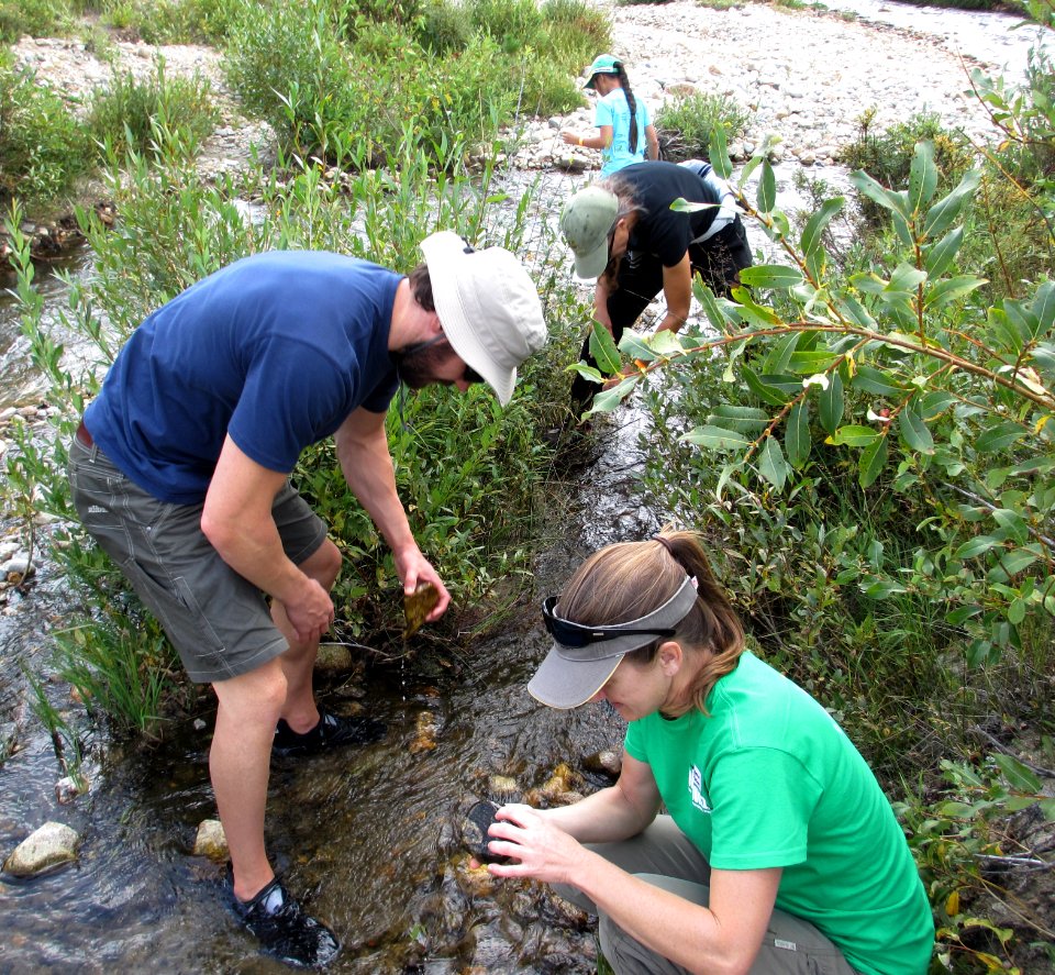 BioBlitz participants examine river for signs of life. Photo by NPS/Courtney Allen.