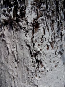 20160424 113543