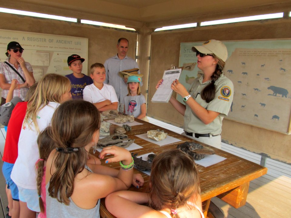 Fossil encounters