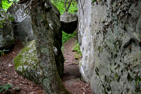 An Appalachian Trail surprise named the Guillotine near the Summit of Apple Orchard Mountain - Keep On Hiking to find more