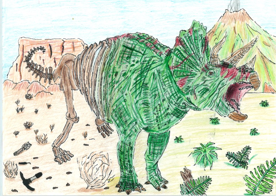(2013) 9-13 Year Old Category