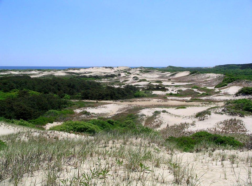Coastal Dunes