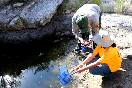 Ecologist Evan Gwilliam performing an aquatic survey. Photo by NPS/Todd M. Edgar. photo