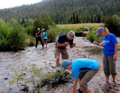 Black fly larvae inventory. Photo by NPS/Brittni Medina.