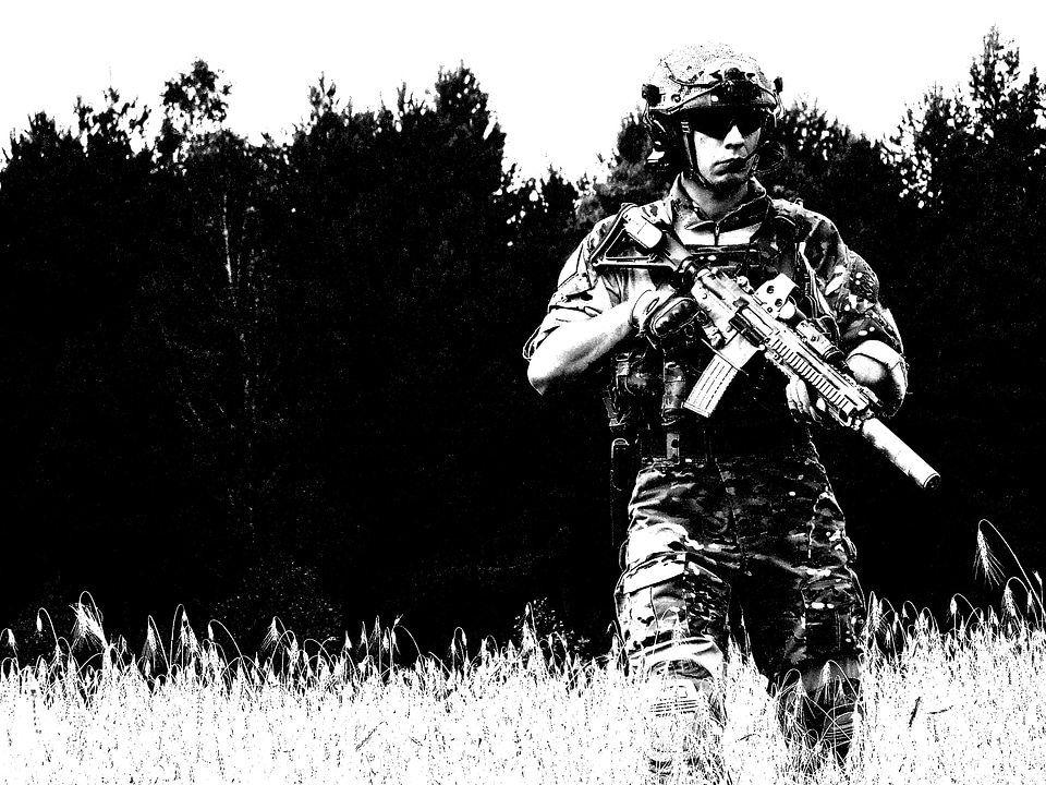 Militaria the military weapon