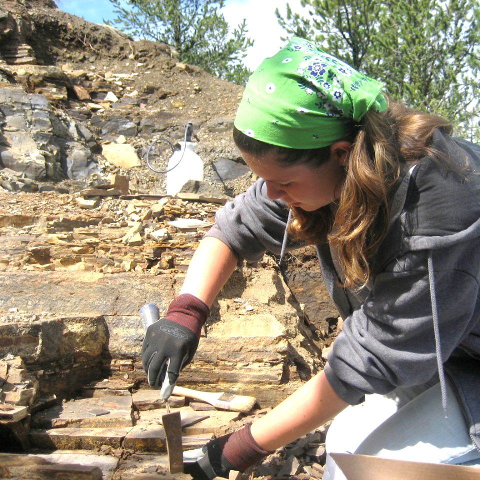 Excavating fossils