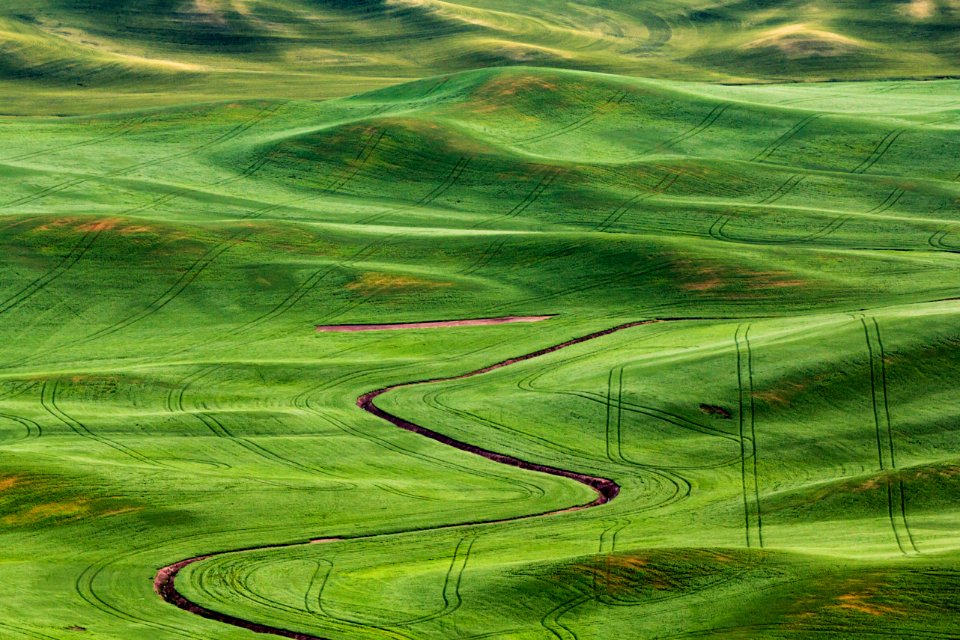 Palouse Region of Washington State