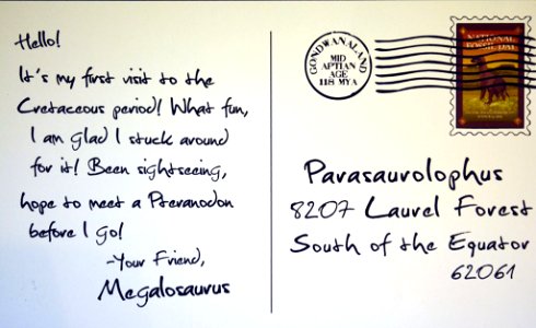 (2015) 19 and Up Category (backside of card)