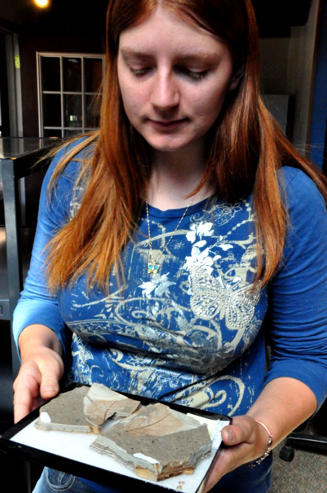 Preparing fossil to be cataloged
