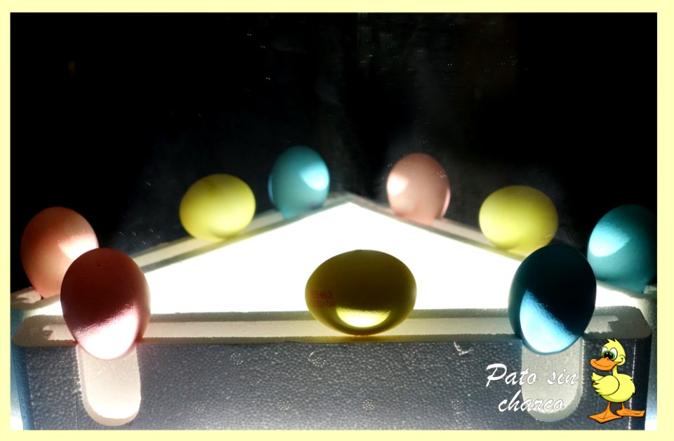 Un triagulo de huevos