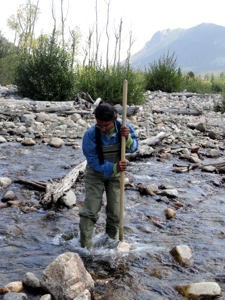 Looking for biodiveristy in a stream in Rocky Mountain National Park. NPS photo.