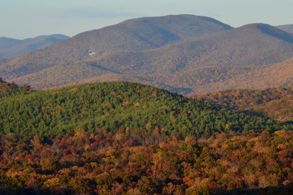 Autumn reveals the diversity of tree species in eastern forests 10-25-14 PH