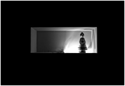El nicho de la luz