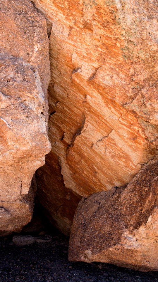 Cleveland-Lloyd Dinosaur Quarry, Utah