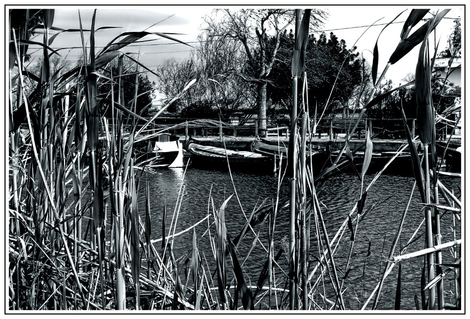 Puerto de Catarroja (VI)