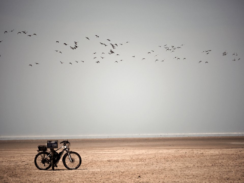 Fahrrad am Strand (Westerhever)