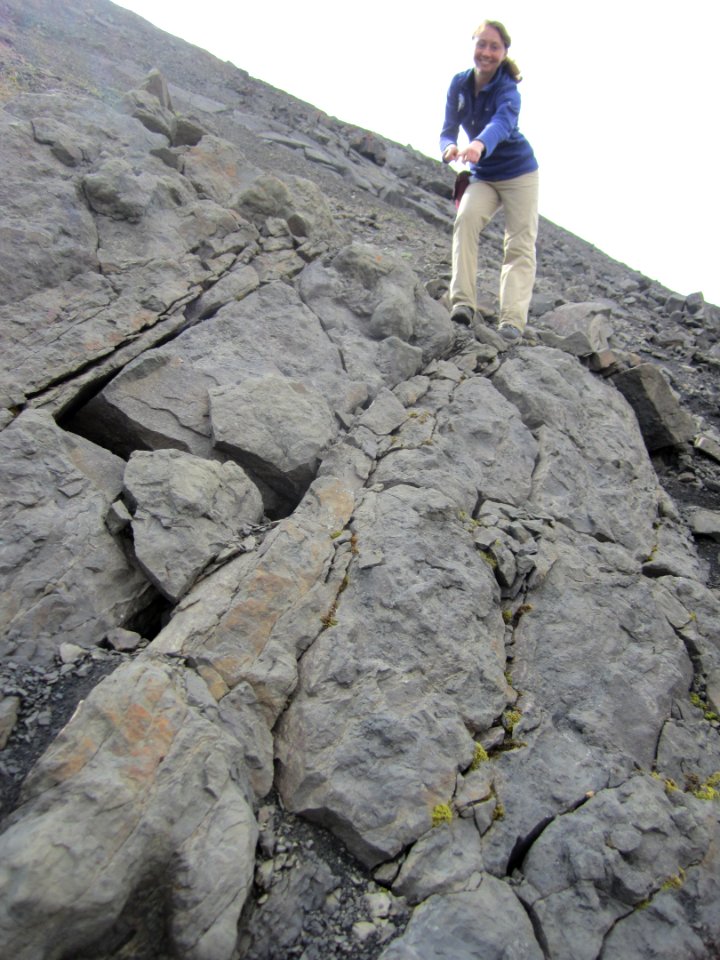 Pointing out a trackway