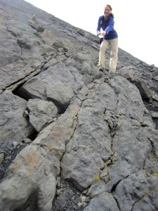 Pointing out a trackway