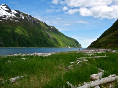 Kenai Fjords National Park photo