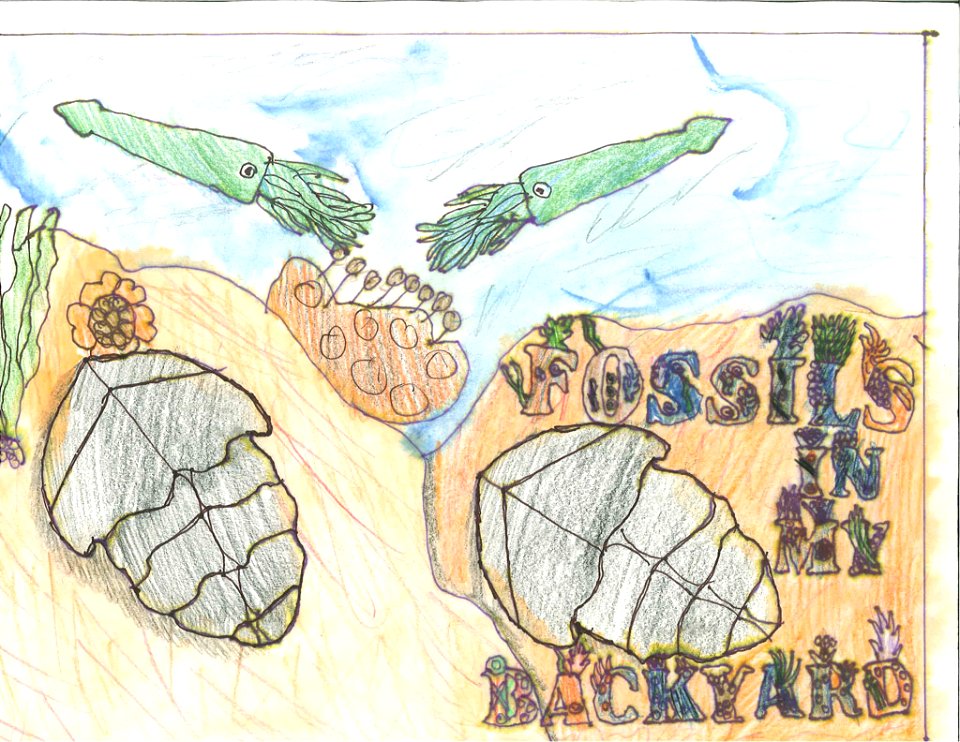 (2011) 9-13 Year Old Category