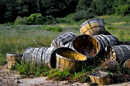 Forgotten Harvest photo