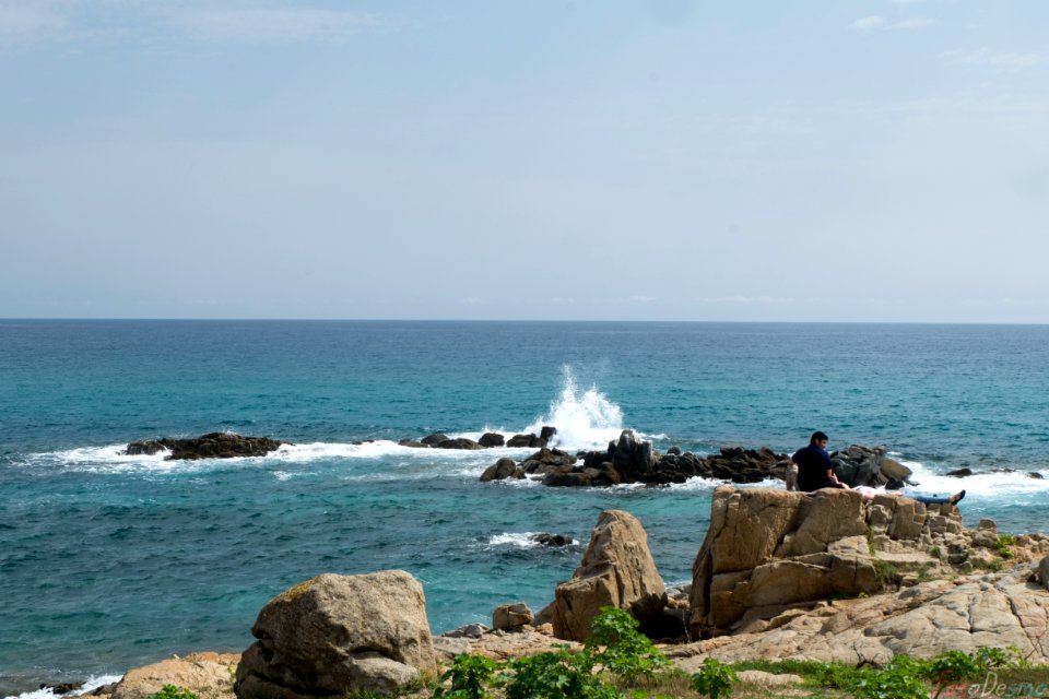 DSCF2544