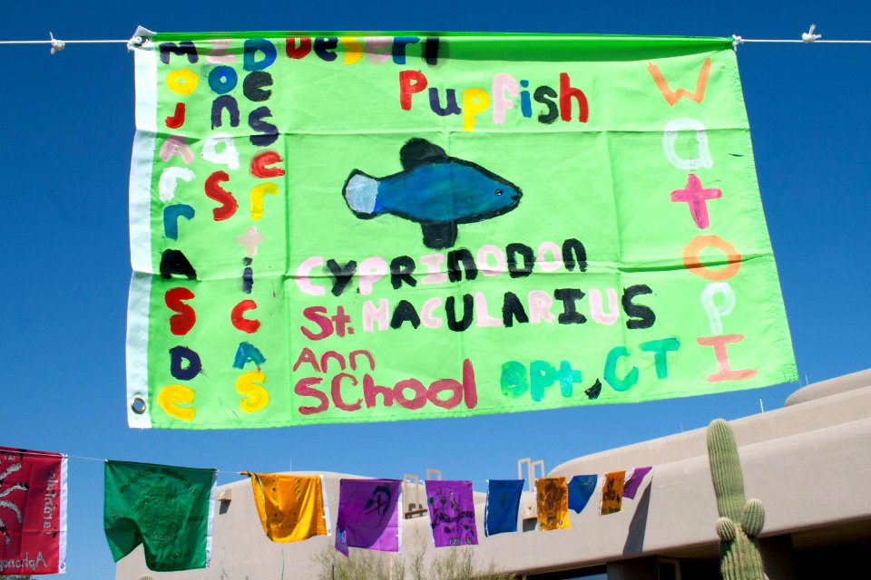 School biodiversity flag. Photo by NPS/Todd M. Edgar.