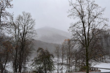 Sharp Top Mountain hidden behind an October snowfall 10-30-12 PH photo