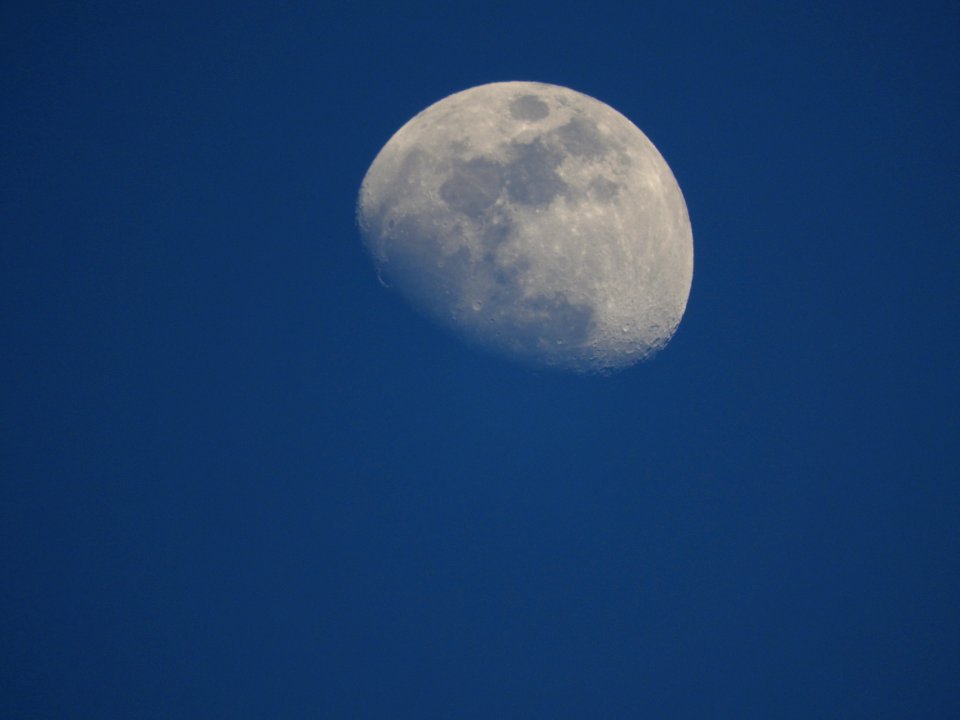DSCN0516