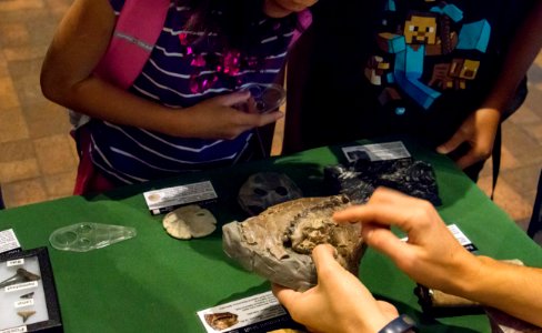 National Fossil Day at Denver Museum of Nature and Science
