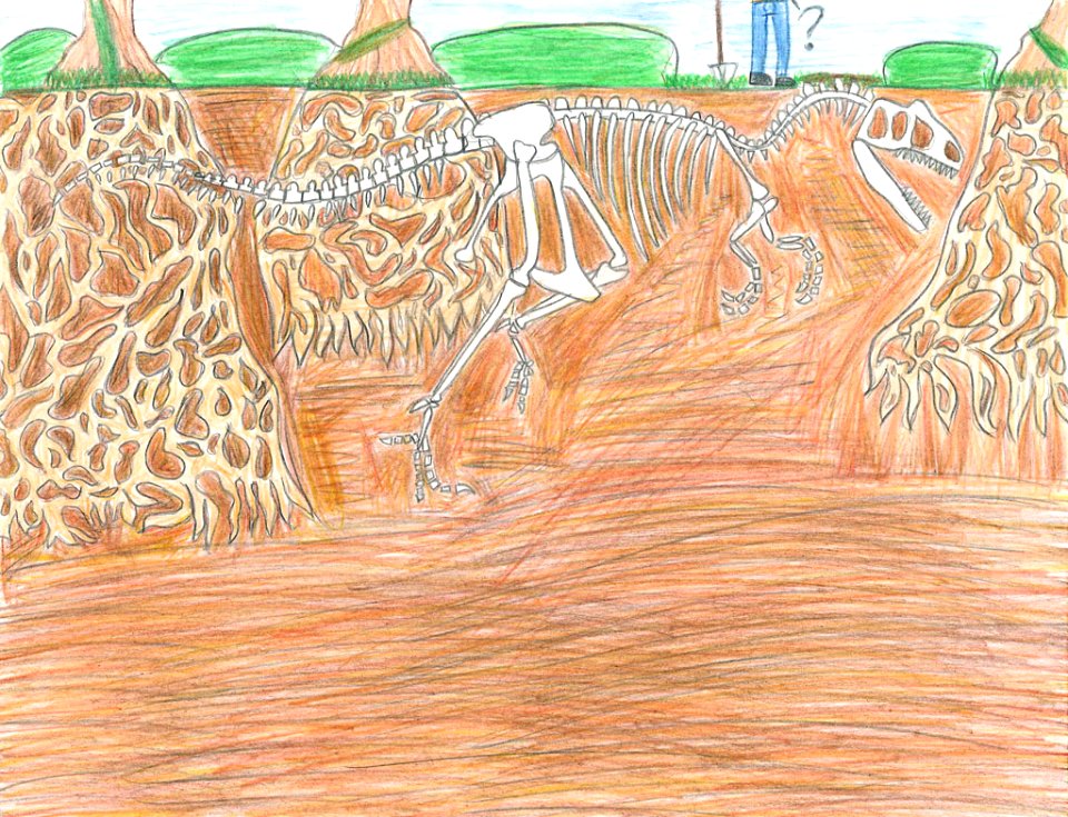 (2011) 9-13 Year Old Category