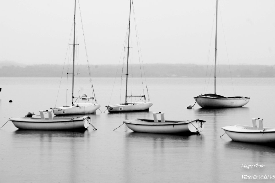 les bateaux se mêlent..