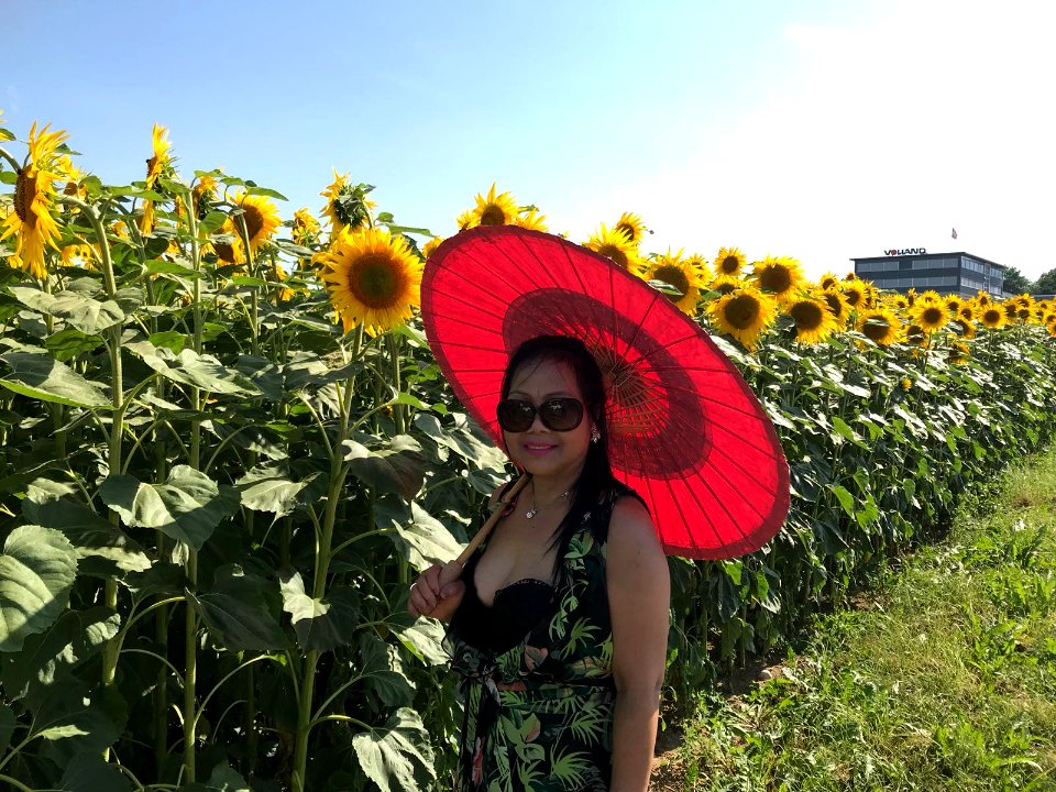 Sunflower Girl
