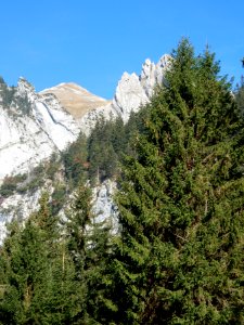 ulm svycarsko 10 2015 020