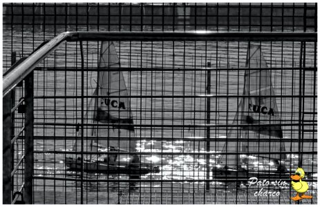 Entre rejas