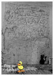 Gato urbano y varios firmantes