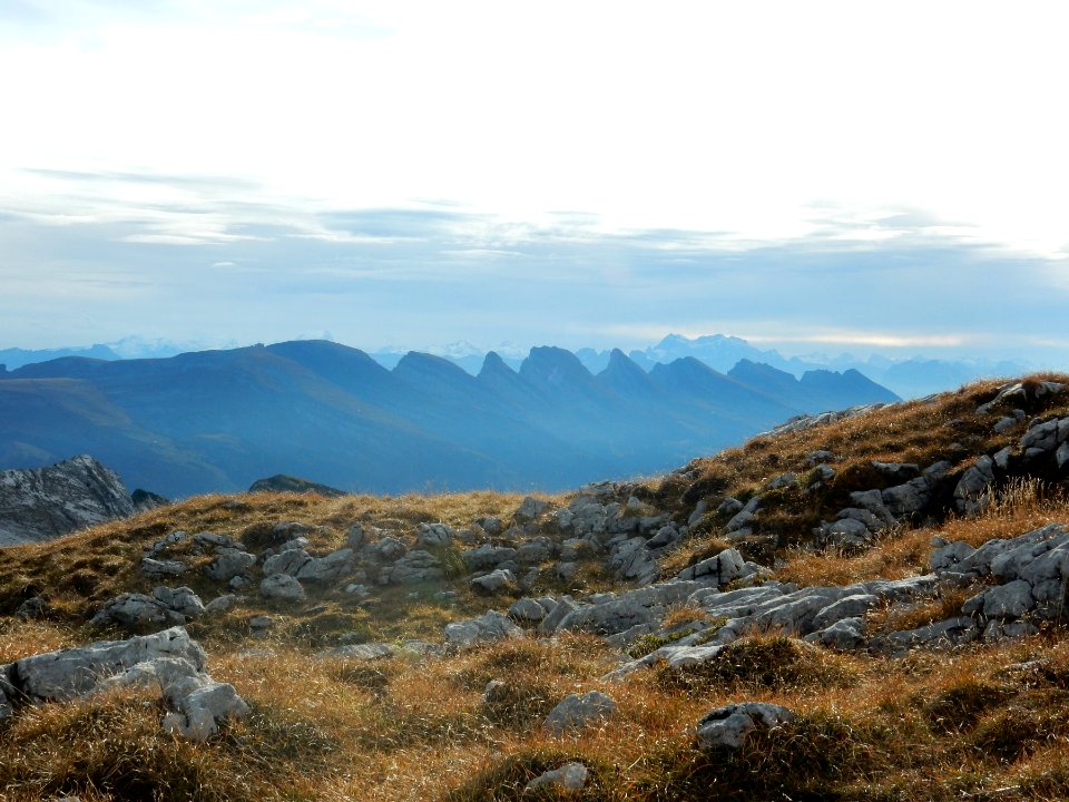 ulm svycarsko 10 2015 089