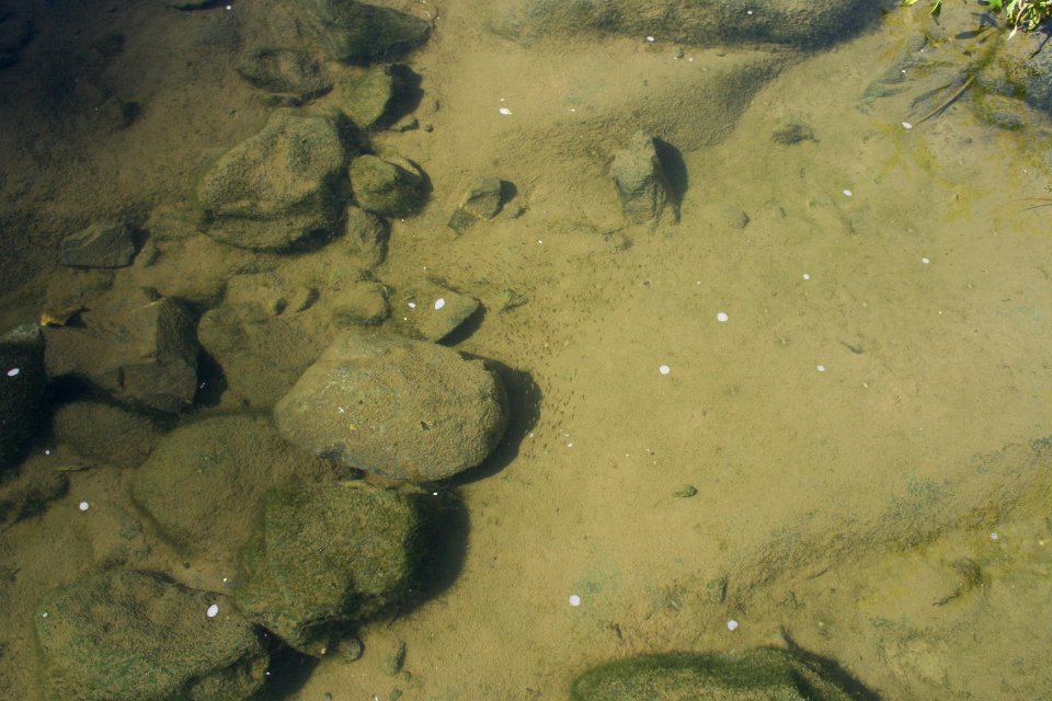 IMG 7958