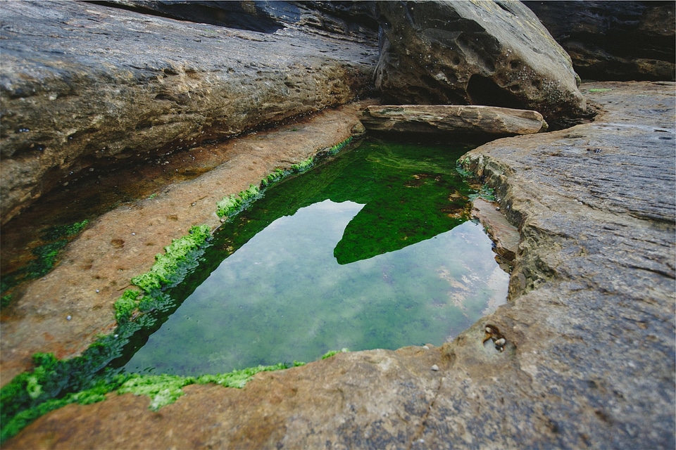 Rocks water moss