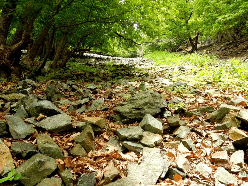 DSCN0046